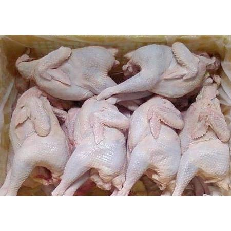 Các tiền chất có hại trong thịt gà công nghiệp cần biết