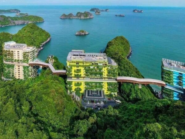 Lịch Trình Khám Phá Vịnh Lan Hạ 3 Ngày 2 Đêm Được Yêu Thích Hè 2025