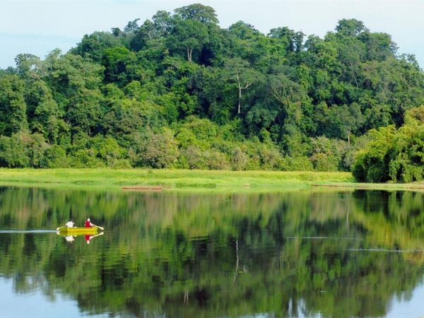 Khám Phá Ẩm Thực Nam Cát Tiên: Những Món Ngon Hấp Dẫn Du Khách