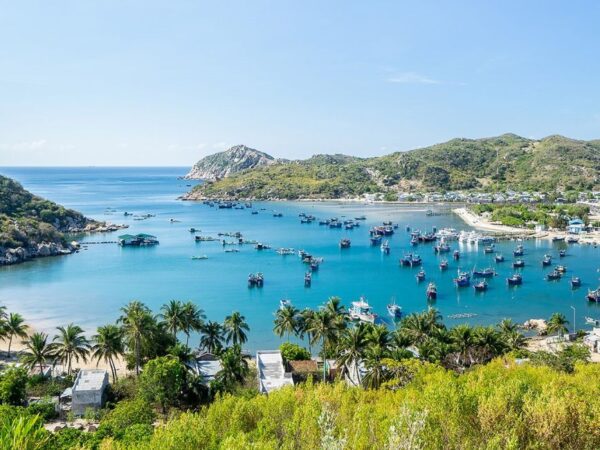 Cập Nhật Lịch Trình 3 Ngày 2 Đêm Du Lịch Ninh Chữ