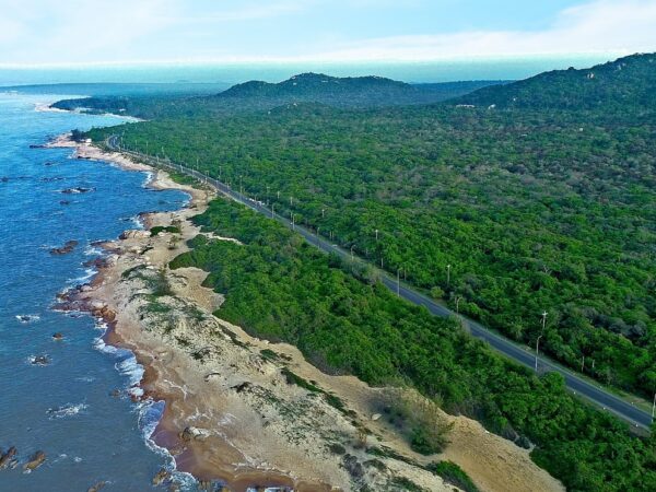 Hướng Dẫn Đặt Tour Đi Du Lịch Hồ Tràm 1 Ngày Mới Nhất Trong Năm Nay