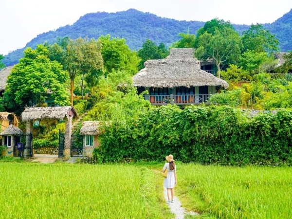 Lịch Trình Du Lịch Mai Châu 3 Ngày 2 Đêm Được Nhiều Du Khách Yêu Thích 