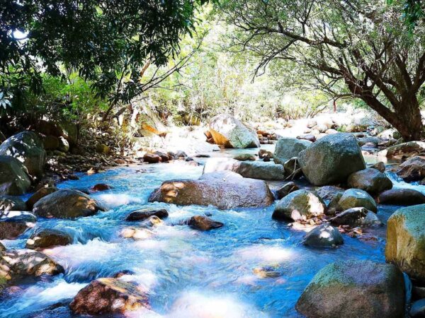 Hướng Dẫn Tổ Chức Gala Dinner Cho Tour Vĩnh Hy 3 Ngày 2 Đêm