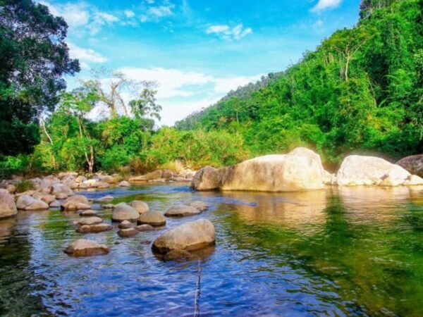 Những Khu Ẩm Thực Nổi Bật Tại Suối Tiên Không Nên Bỏ Qua
