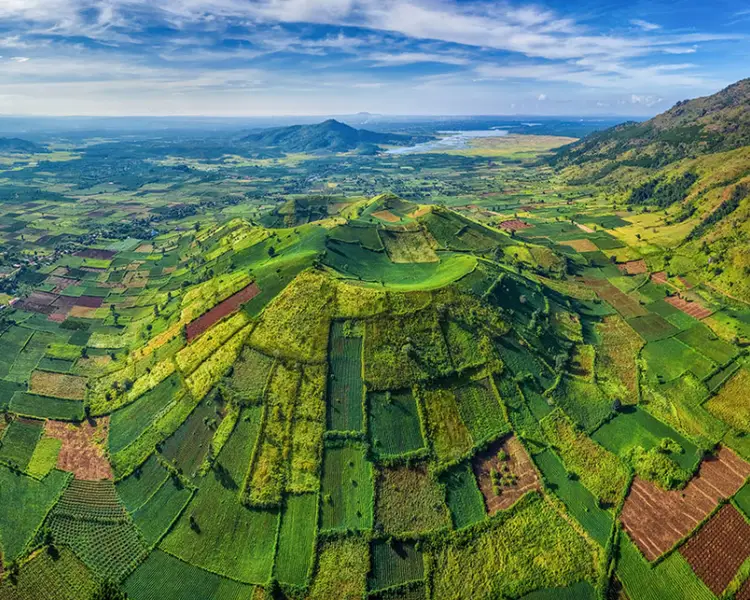 Du Lịch Rồng Lửa Việt (rongluaviet.com) – Người bạn đồng hành đáng tin cậy trên mọi hành trình khám phá Việt Nam và thế giới