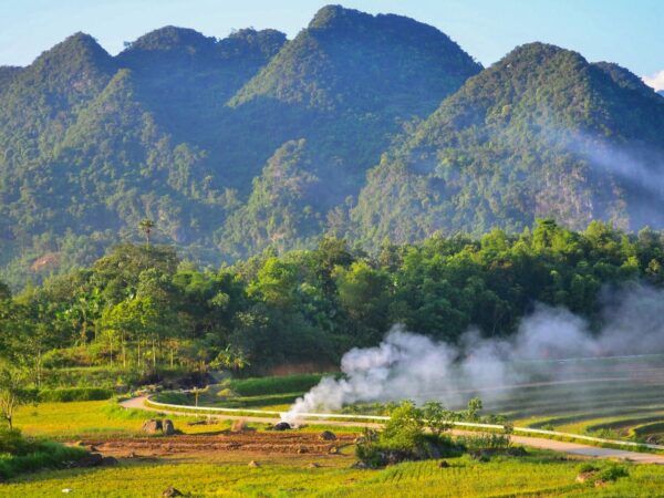 Món Ăn Ngon Nên Thử Khi Đi Du Lịch Pù Luông