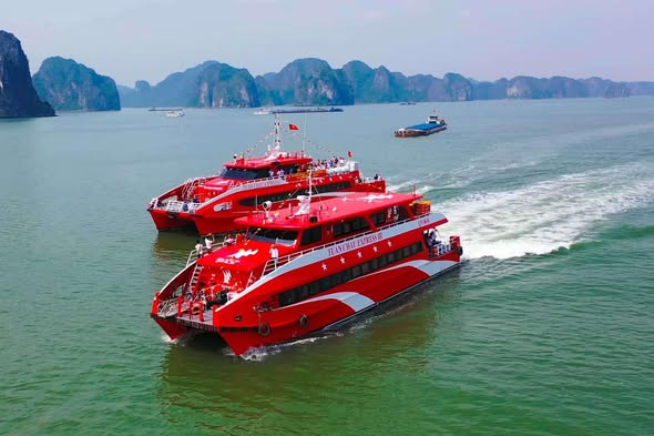 Khám Phá Trọn Bộ Trải Nghiệm Tour 3 Đảo Cô Tô Hấp Dẫn Nhất